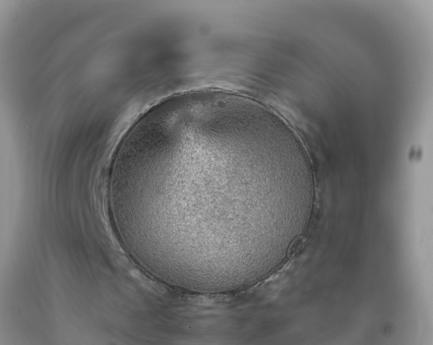 X0000092070241200709191210