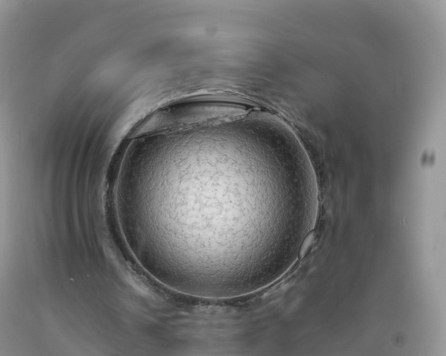 X0000092070242200709191210