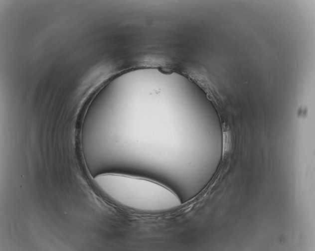 X0000092070243200709191210