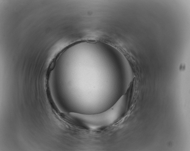 X0000092070244200709191210