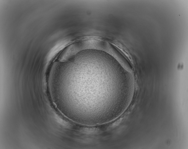 X0000092070245200709191210