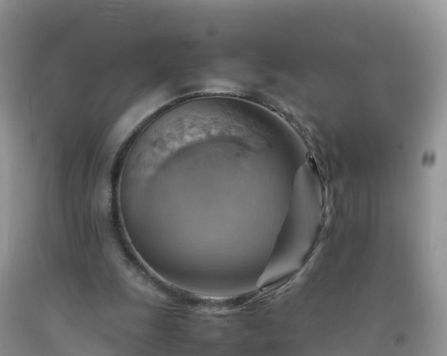 X0000092070247200709191210