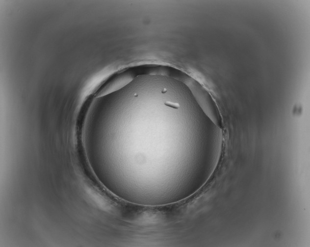 X0000092070248200709191210
