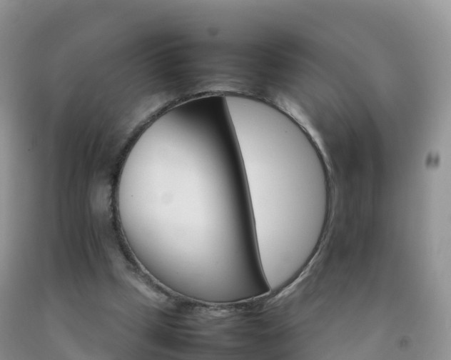X0000092070249200709191210