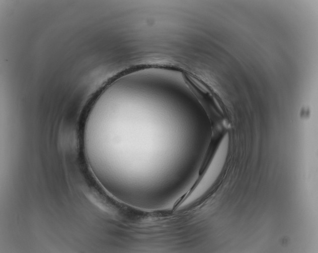 X0000092070252200709191210