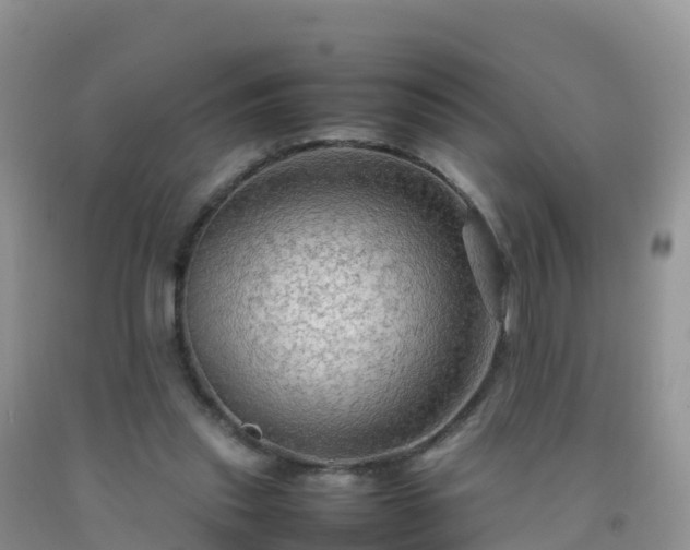 X0000092070253200709191210