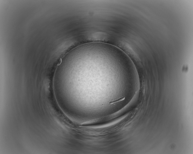 X0000092070255200709191210