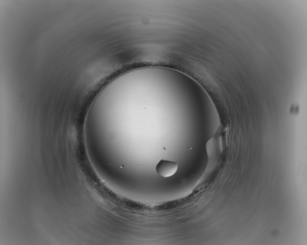 X0000092070256200709191210