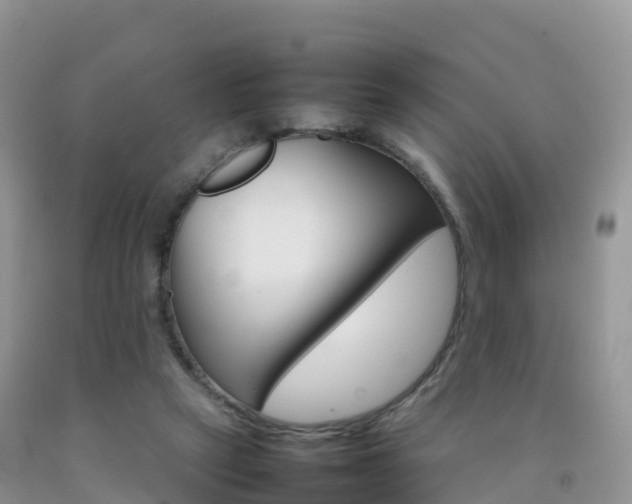 X0000092070257200709191210