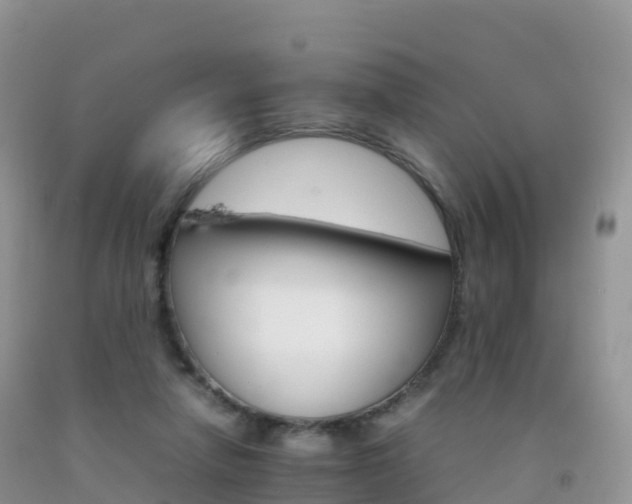 X0000092070258200709191210