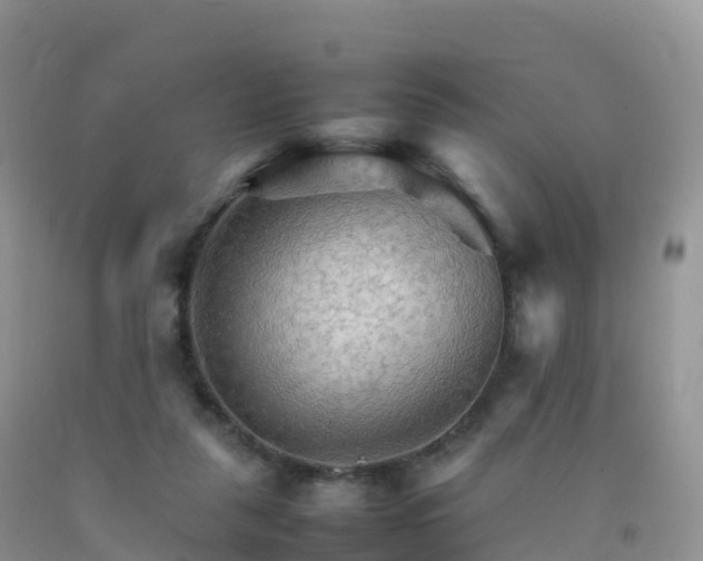X0000092070259200709191210