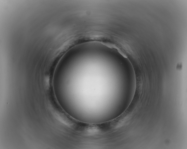 X0000092070262200709191210
