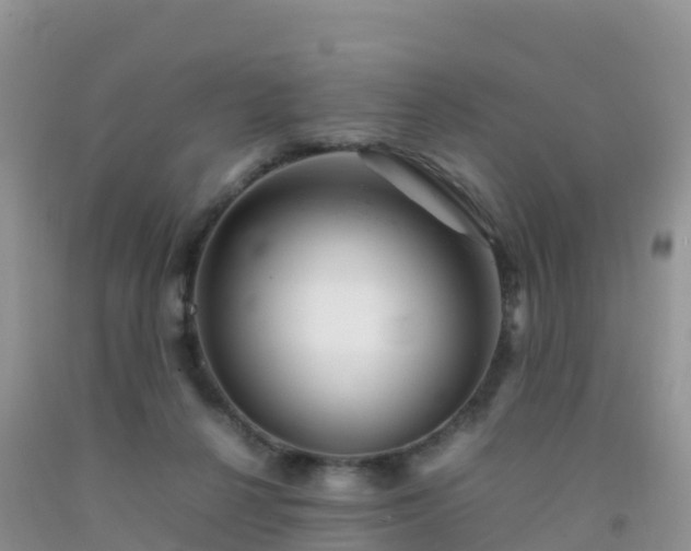 X0000092070264200709191210