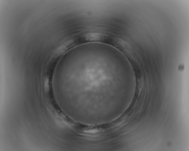 X0000092070267200709191210
