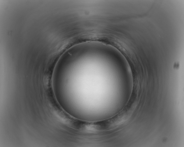 X0000092070268200709191210