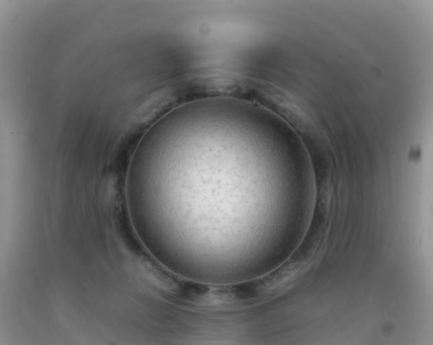 X0000092070270200709191210