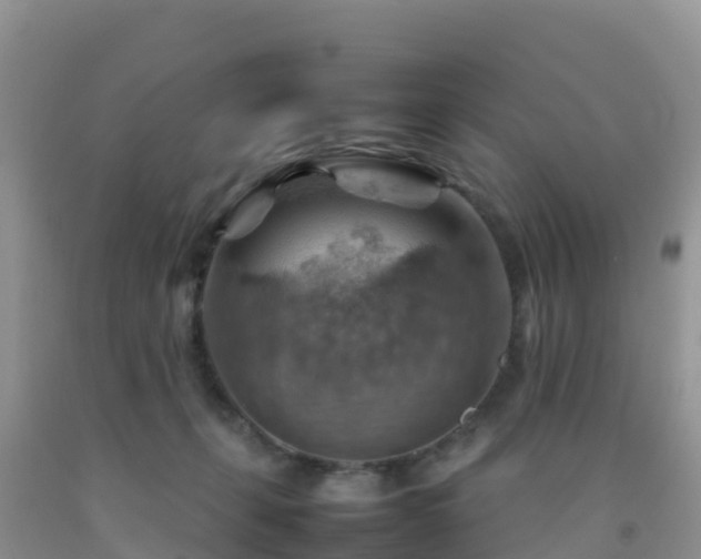 X0000092070271200709191210