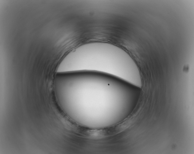 X0000092070273200709191210