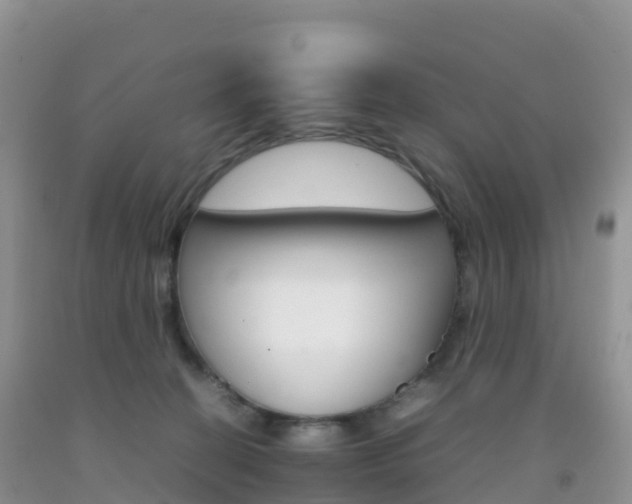 X0000092070274200709191210