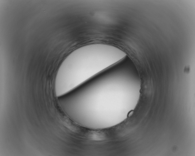 X0000092070275200709191210