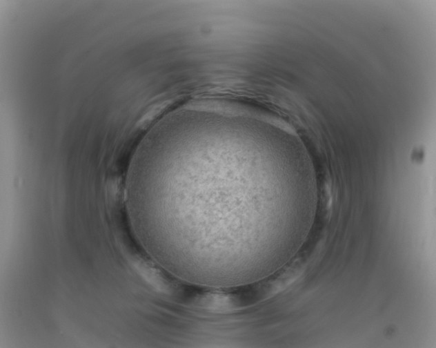 X0000092070276200709191210