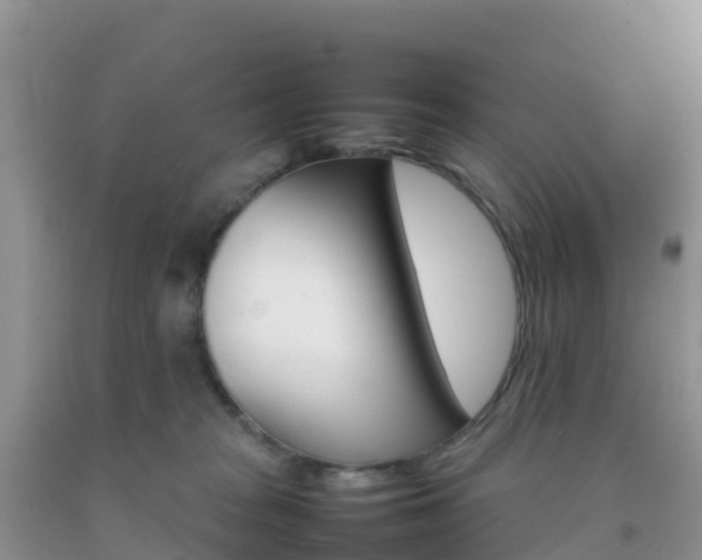 X0000092070277200709191210
