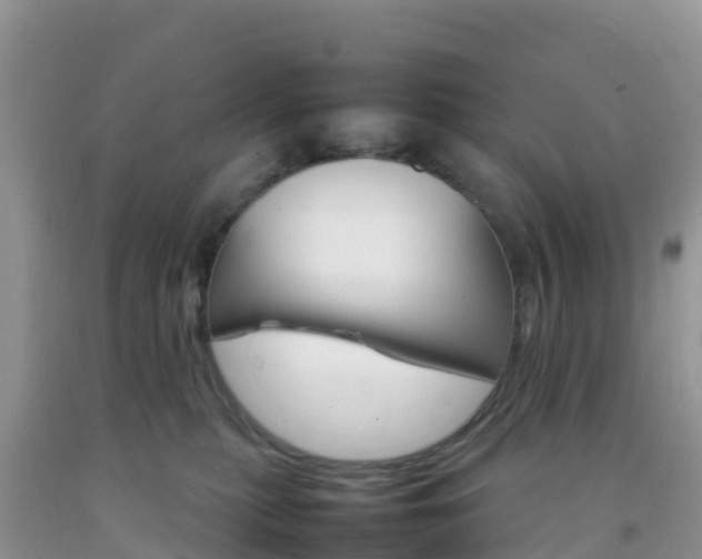 X0000092070279200709191210