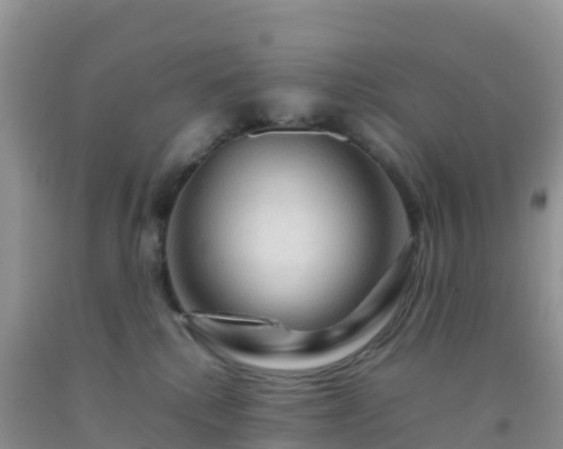 X0000092070280200709191210