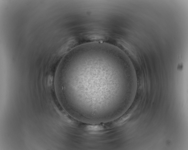 X0000092070281200709191210