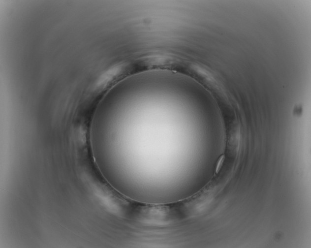 X0000092070282200709191210