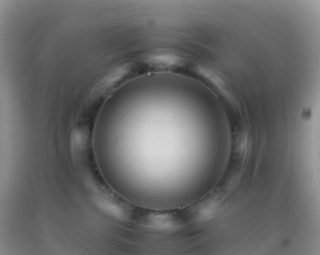 X0000092070283200709191210