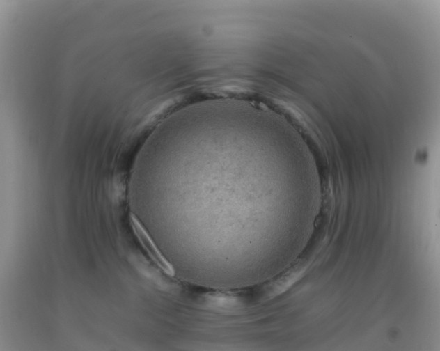 X0000092070284200709191210