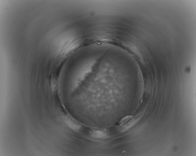 X0000092070285200709191210