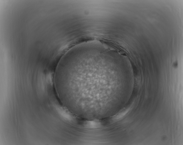 X0000092070286200709191210