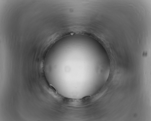X0000092070288200709191210