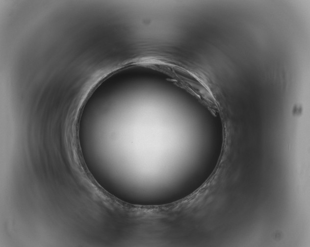 X0000092070289200709191210