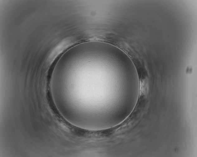 X0000092070291200709191209