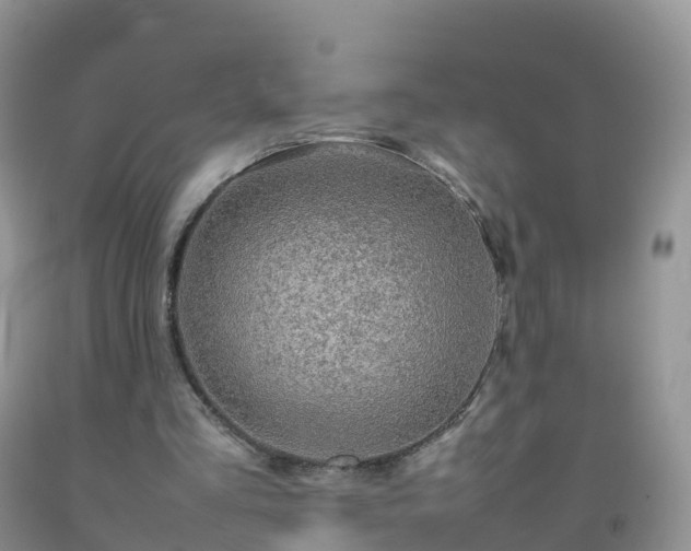 X0000092070293200709191209