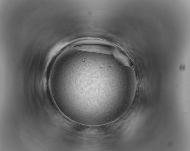 X0000092070294200709191209
