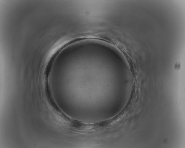 X0000092070295200709191209