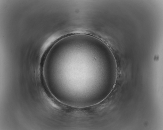 X0000092070296200709191209
