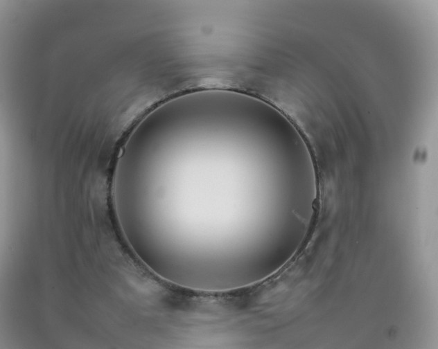 X0000092070297200709191209