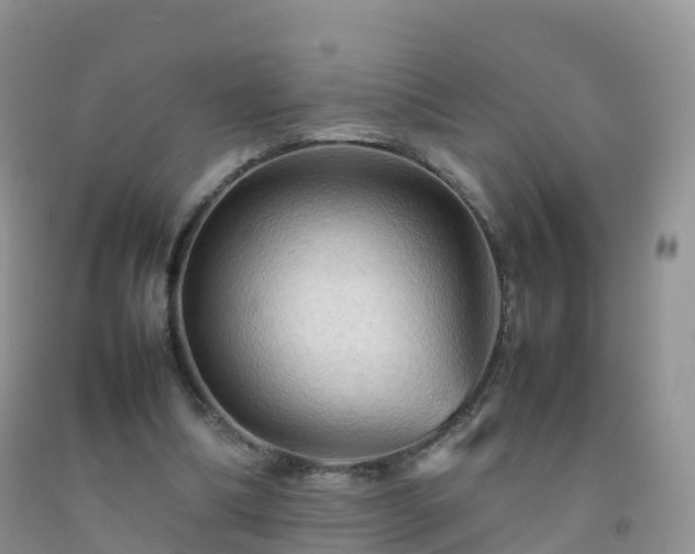X0000092070298200709191209