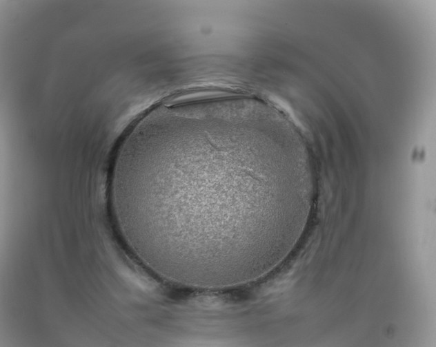 X0000092070299200709191209