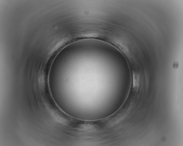 X0000092070300200709191209