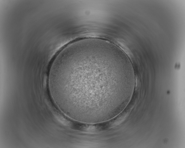 X0000092070301200709191209