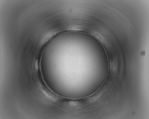X0000092070302200709191209