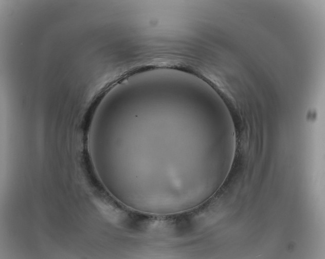 X0000092070303200709191209