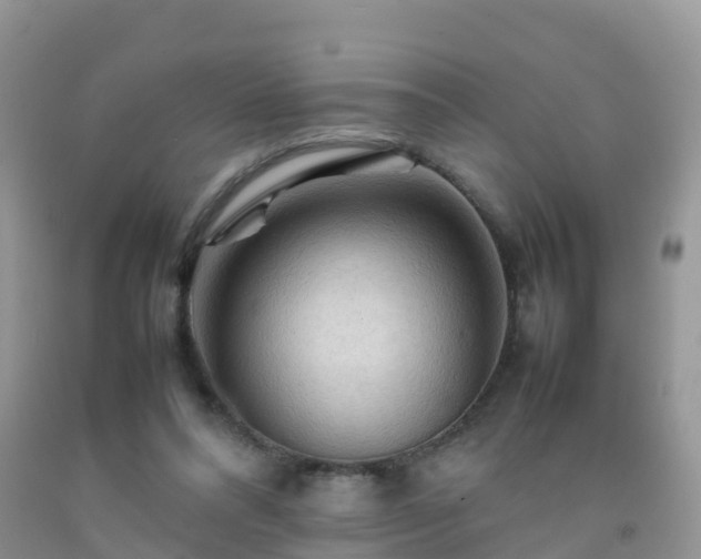 X0000092070304200709191209