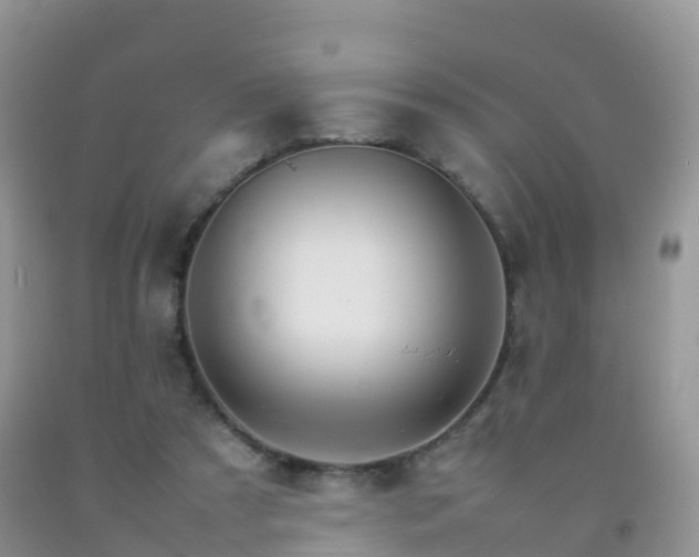 X0000092070305200709191209